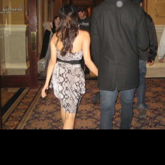 🐍 Snakeskin Sweetheart Dress - Picture 5 of 5